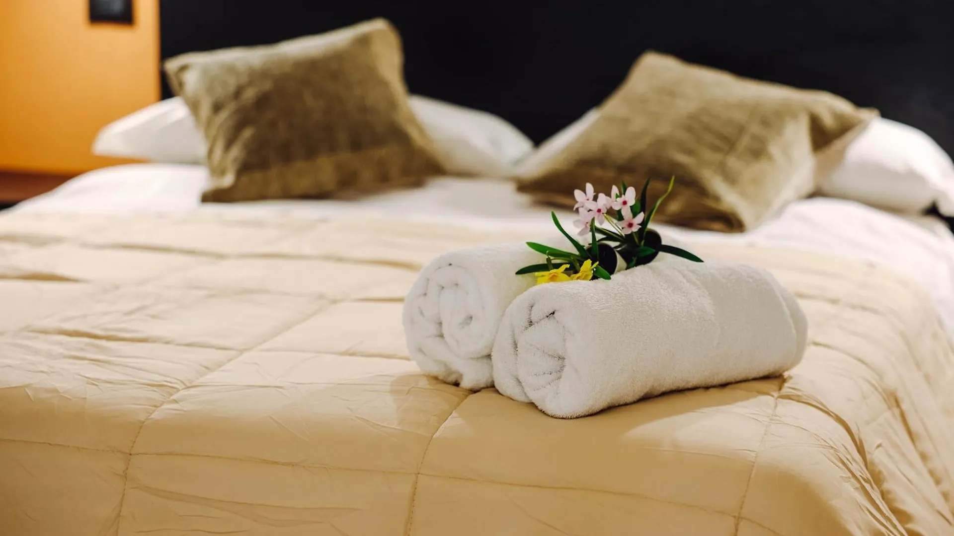 Domus Ursino Elegance Daire Katanya